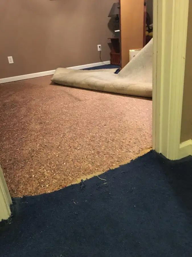 Carpet pad removal revealing water damage during Drying & Dehumidification in Ottawa